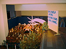 %_tempFileName033%20presepio%202006%20%